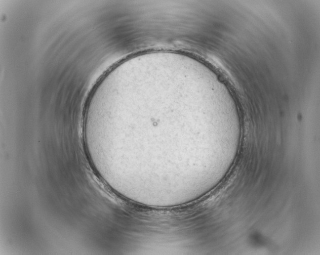 X0000088221232200706121822