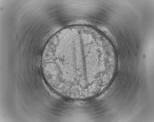 X0000088221233200706121822