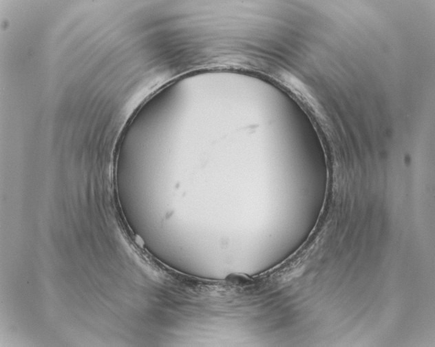 X0000088221234200706121822