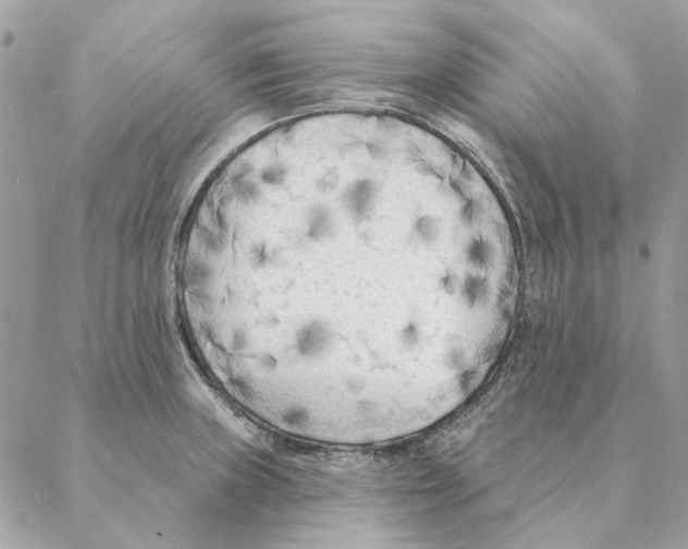 X0000088221235200706121822