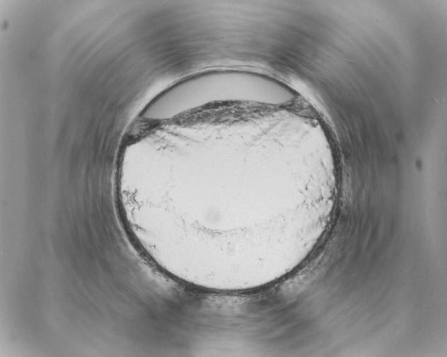 X0000088221237200706121822