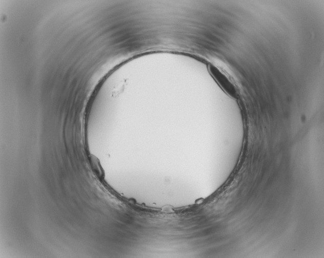 X0000088221238200706121822