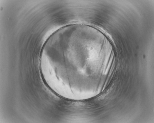 X0000088221239200706121822