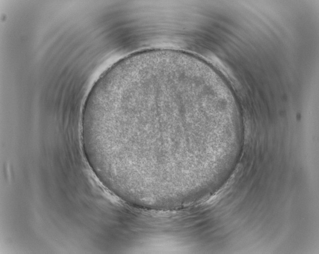 X0000088221240200706121822