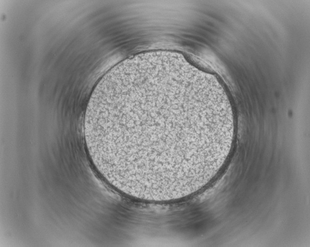 X0000088221241200706121822