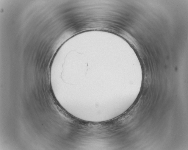 X0000088221242200706121822