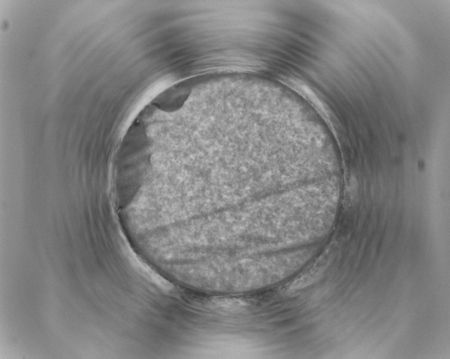 X0000088221243200706121822