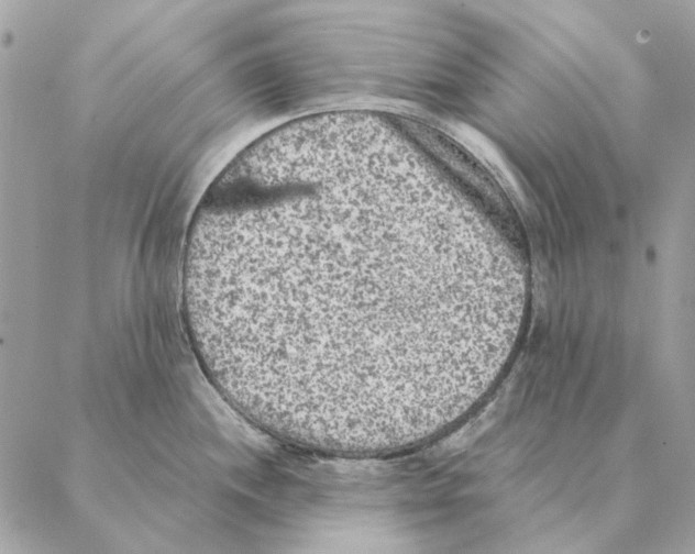 X0000088221244200706121822