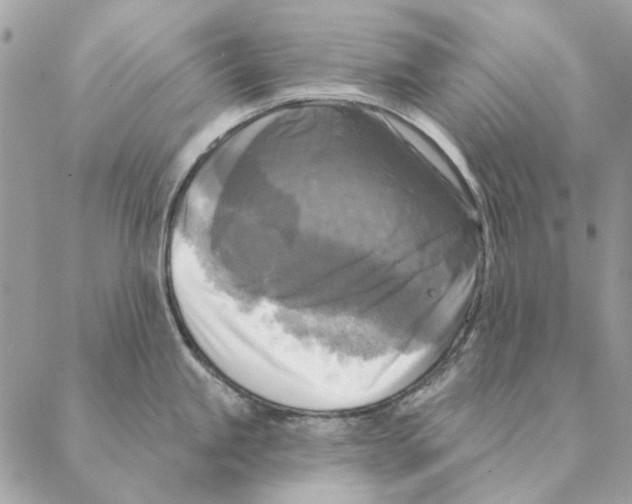 X0000088221245200706121822