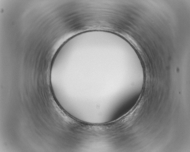 X0000088221246200706121822