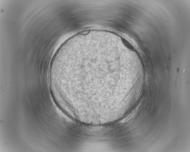 X0000088221247200706121822