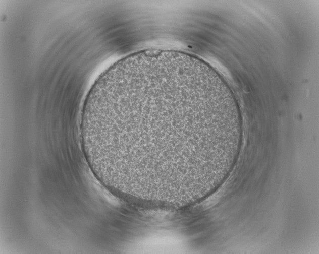 X0000088221248200706121822