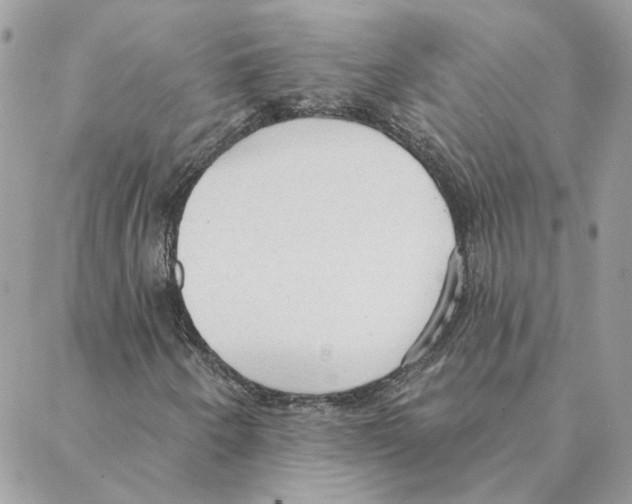 X0000088221250200706121821