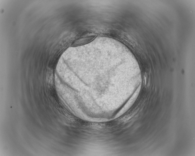 X0000088221251200706121821