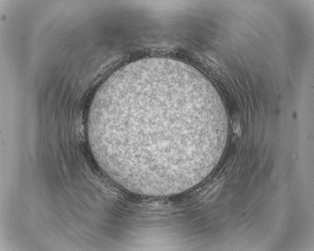 X0000088221252200706121821