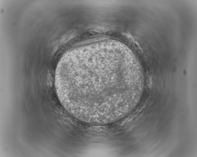 X0000088221253200706121821