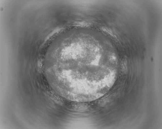 X0000088221254200706121821