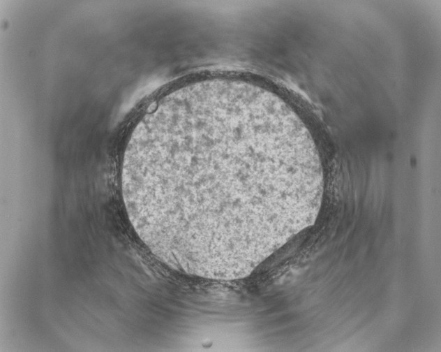 X0000088221255200706121821