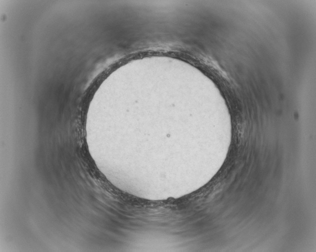 X0000088221256200706121821