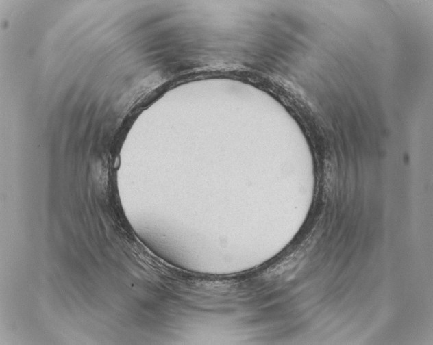 X0000088221257200706121821