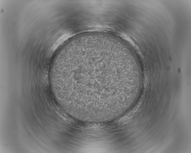 X0000088221259200706121821