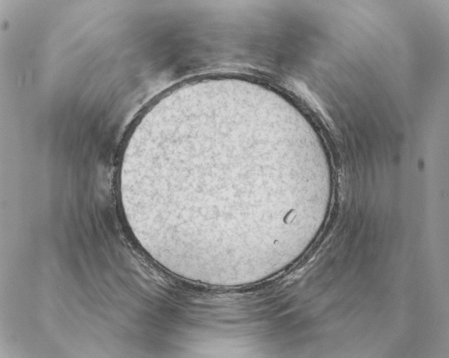 X0000088221260200706121821