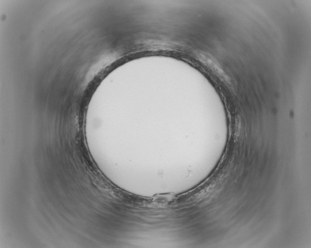 X0000088221261200706121821