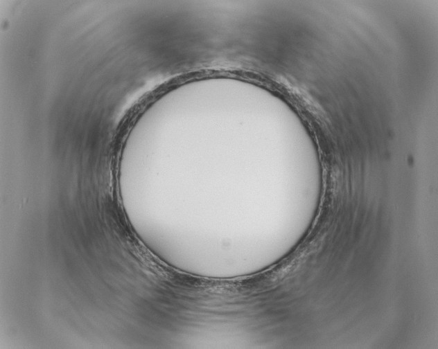 X0000088221262200706121821