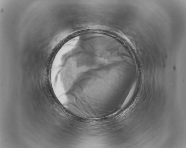 X0000088221263200706121821