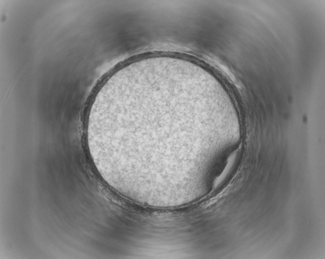 X0000088221264200706121821