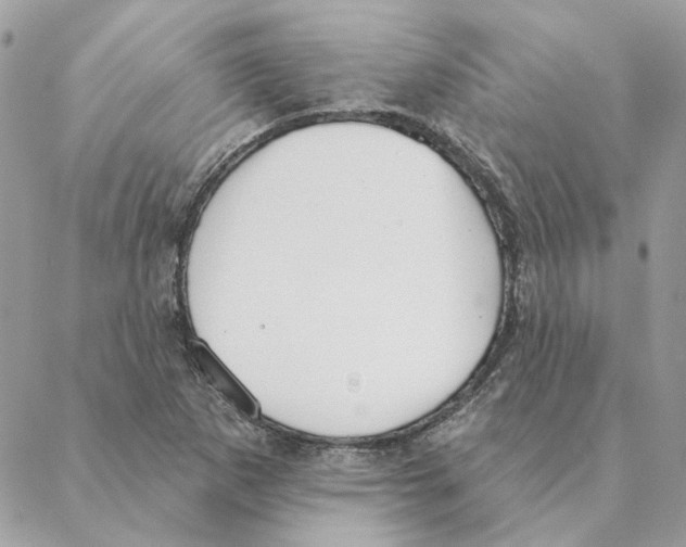 X0000088221265200706121821