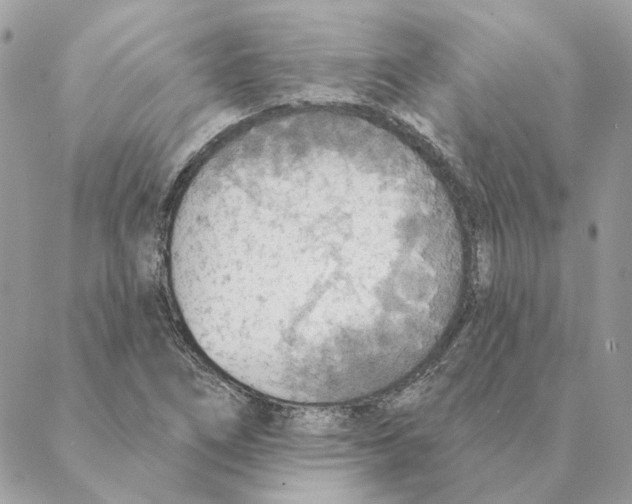 X0000088221266200706121821