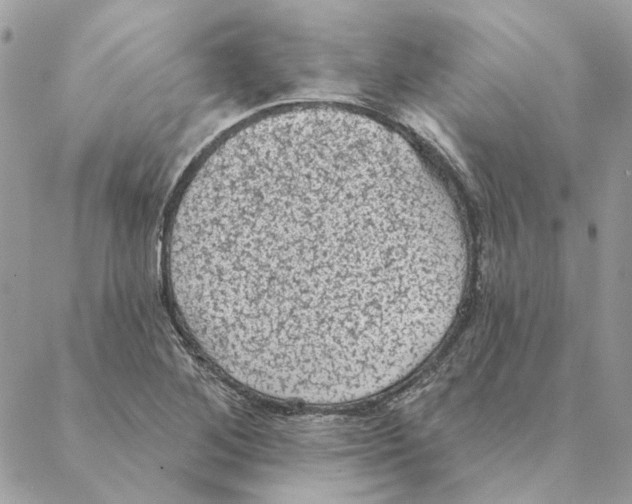 X0000088221268200706121821