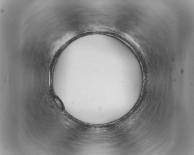 X0000088221269200706121821