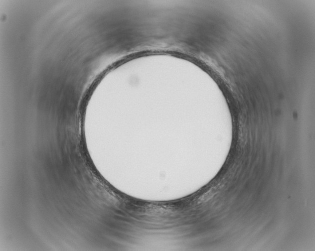 X0000088221270200706121821