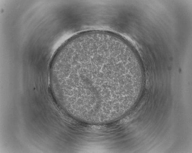 X0000088221271200706121821