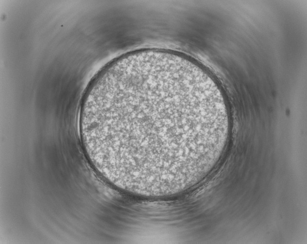 X0000088221272200706121821