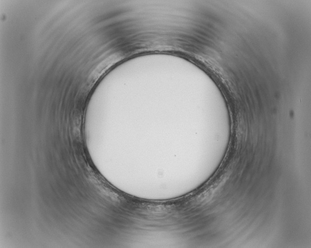 X0000088221273200706121821