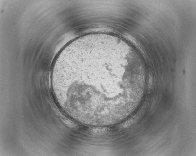 X0000088221274200706121821