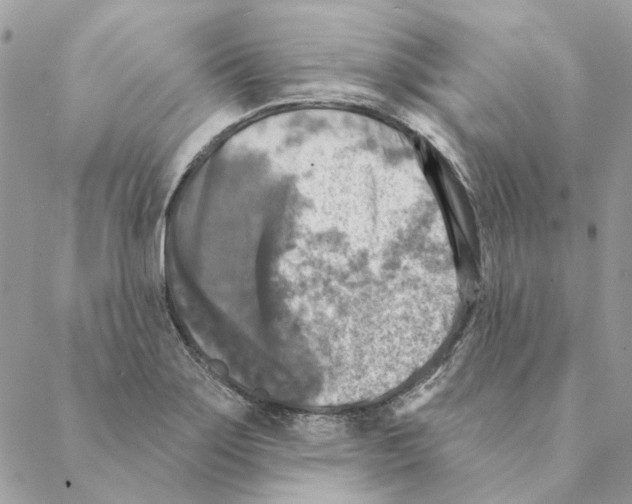 X0000088221275200706121821