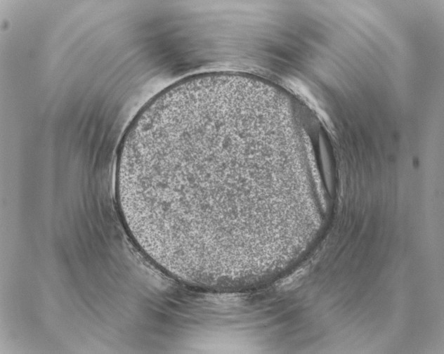 X0000088221276200706121821