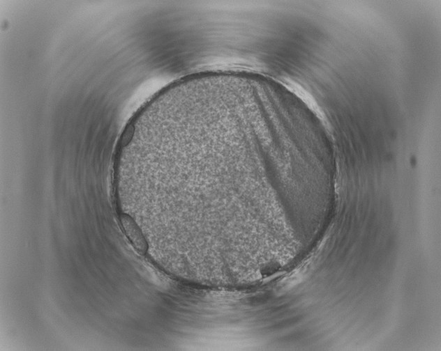 X0000088221277200706121821