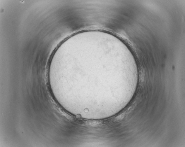 X0000088221278200706121821