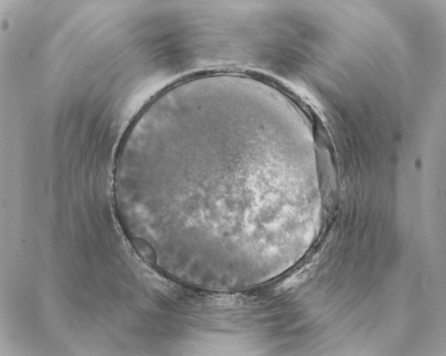 X0000088221279200706121821