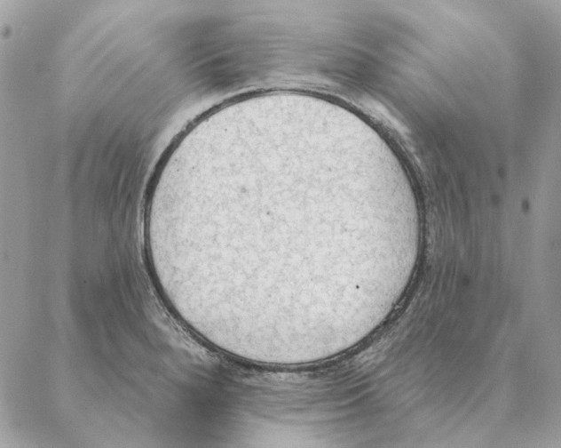 X0000088221280200706121821