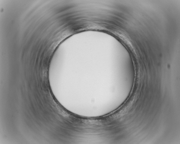 X0000088221281200706121821