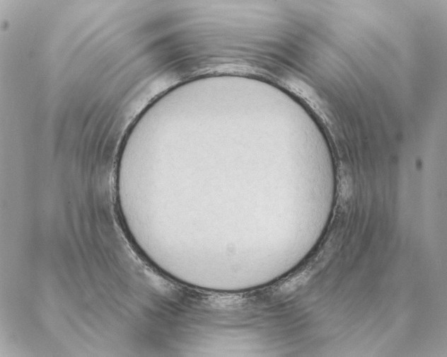 X0000088221282200706121821