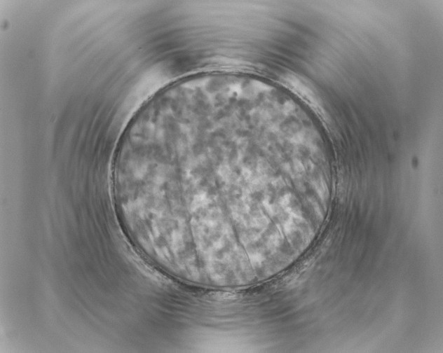 X0000088221283200706121821