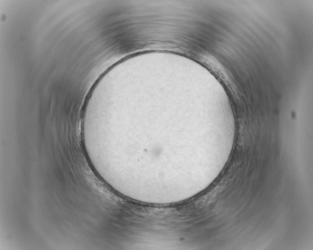 X0000088221284200706121821