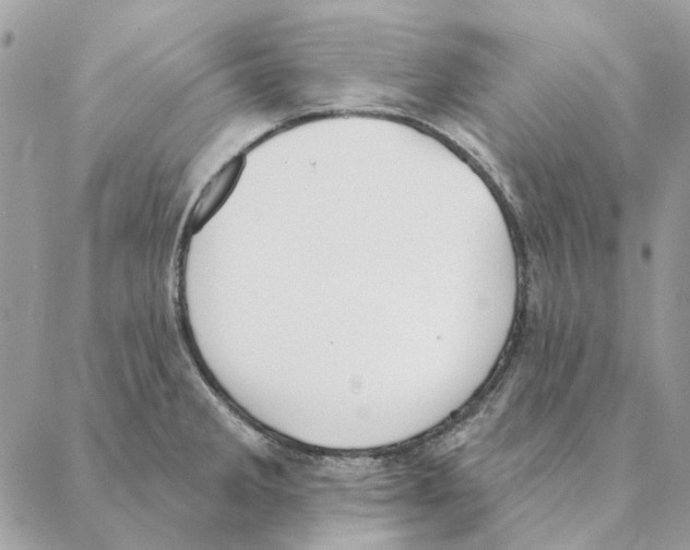 X0000088221285200706121821